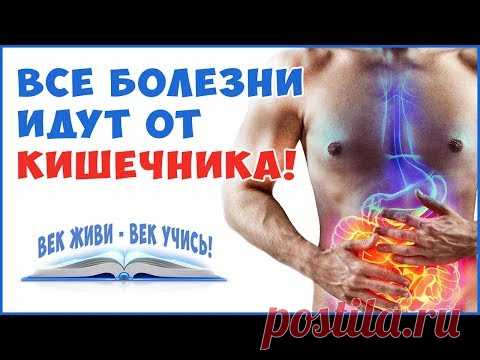 Синдром дырявого Кишечника. Все болезни оттуда! Что делать и срочно !?