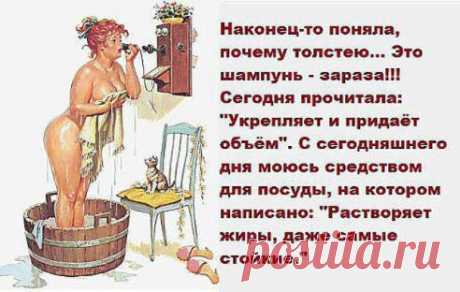 Встала сегодня на весы...Пока толстый сохнет - худой сдохнет...Хорошего человека должно быть много...Мужик не собака - на кости не бросается...Чем бы ещё себя успокоить???!!!