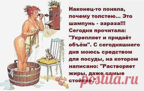 Встала сегодня на весы...Пока толстый сохнет - худой сдохнет...Хорошего человека должно быть много...Мужик не собака - на кости не бросается...Чем бы ещё себя успокоить???!!!