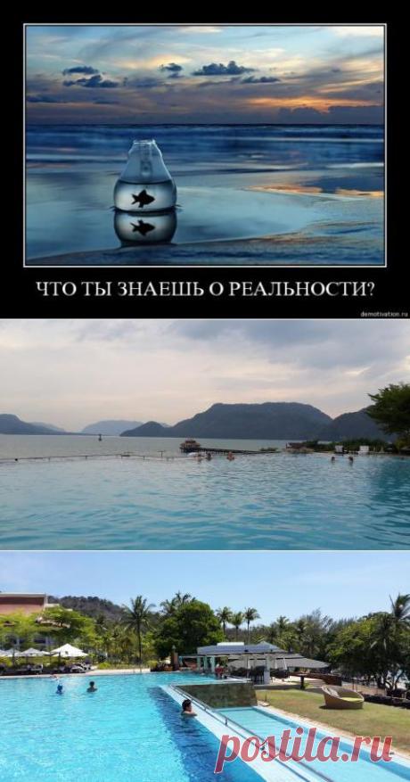 Бассейн в бесконечность | Приколисты в картинках