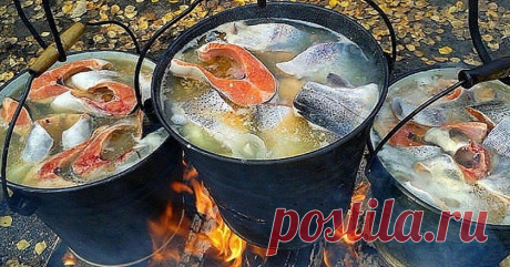 Как приготовить уху на костре