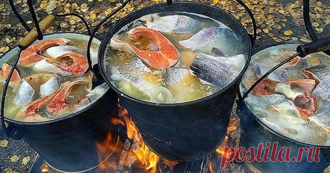 Как приготовить уху на костре