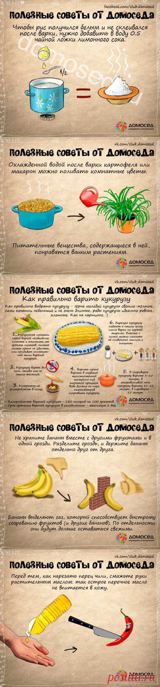 Это полезно знать | Банк кулинарных рецептов