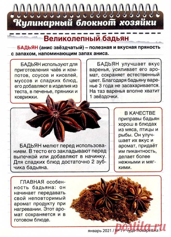 Бадьян в кулинарии