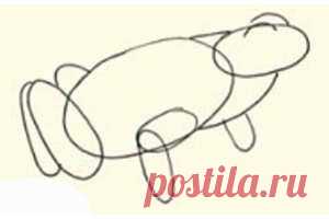 Учимся рисовать лягушку - Поделки с детьми | Деткиподелки