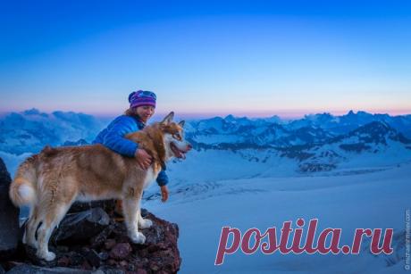 Михаил Шмелёв, автор фото: «Бест — пёс, который регулярно ходит на вершину Эльбруса со своей хозяйкой».