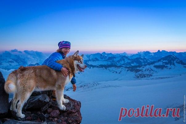 Михаил Шмелёв, автор фото: «Бест — пёс, который регулярно ходит на вершину Эльбруса со своей хозяйкой».