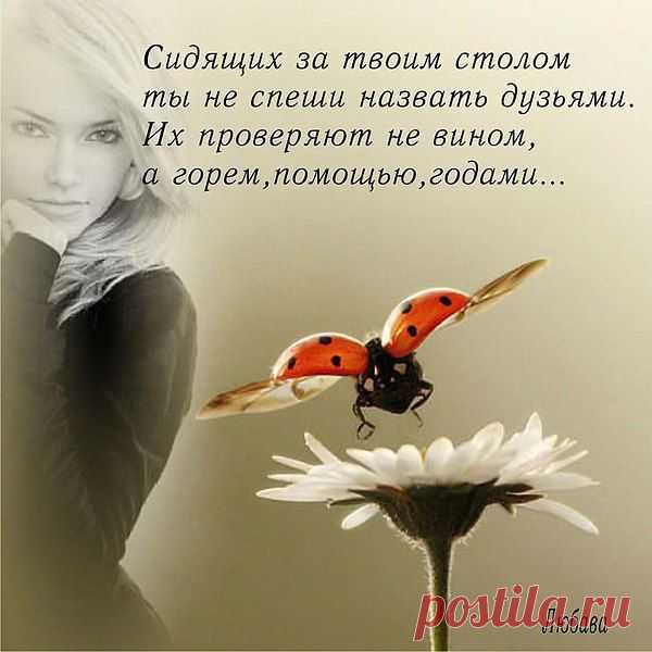 ВИТАЛИЙ: Лучше один раз поговорить , чем пол года переписываться ни о чем...