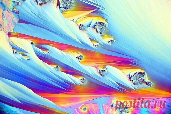 Обычные вещи под микроскопом выглядят как фантастический мир) | PRO ART | Яндекс Дзен