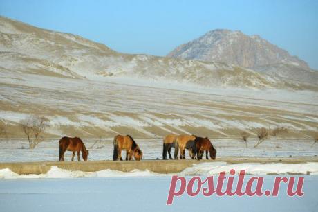 Монгольское иго: как кочевники поднимали Русь с колен