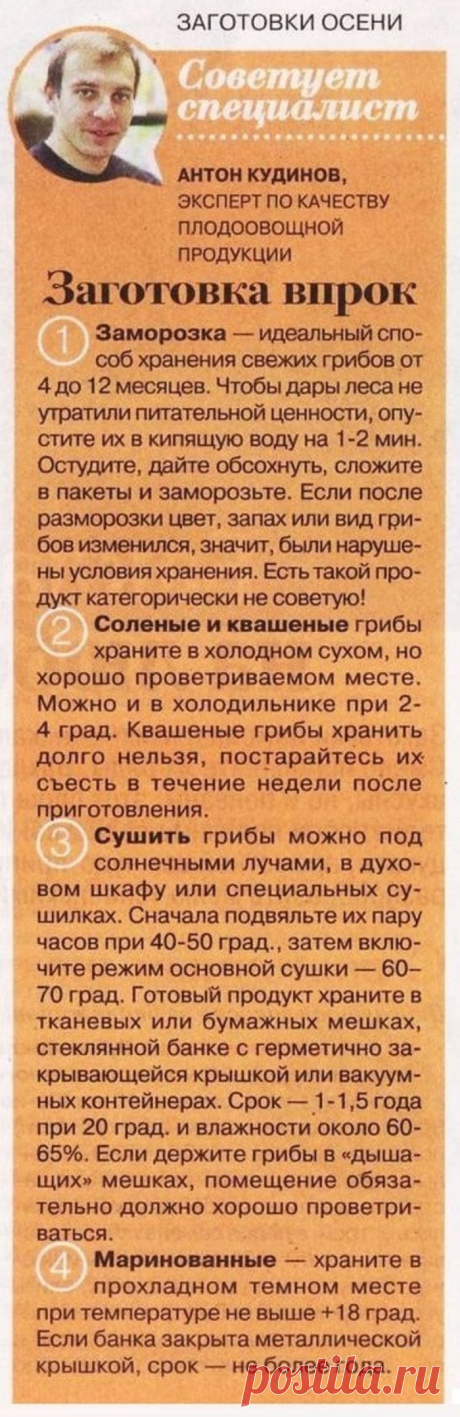Грибы - заготовка впрок
