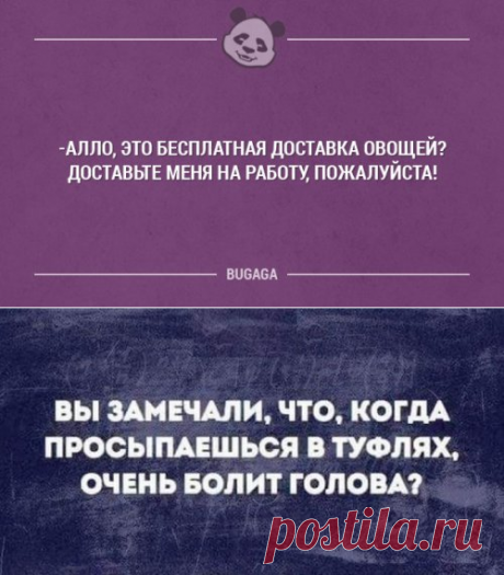 Вечерняя порция фото-приколов (33 шт)