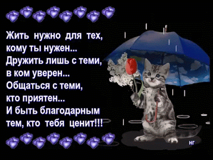 Фото – Google+