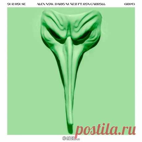 Alex Now (ES), Dario Nunez, Ron Carroll – Our House (Extended Mix)