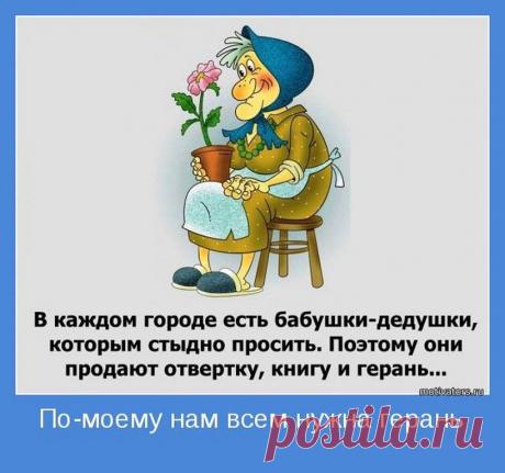 (75) Одноклассники