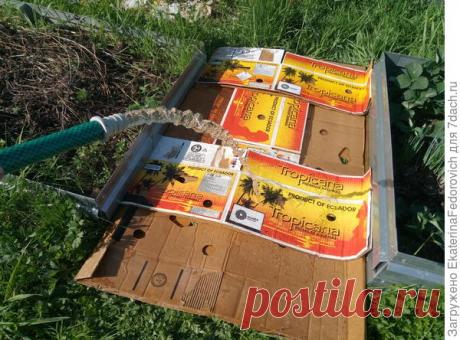 Секрет борьбы с сорняками в междурядьях: бесплатно, быстро и нетрудозатратно