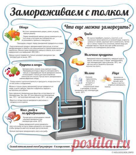 Замораживаем с толком