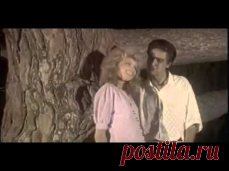 ♫ МУЗЫКАЛЬНАЯ СТРАНИЧКА ДЛЯ ДУШИ !♫: ❤ ЧУЖАЯ СВАДЬБА ... , или ЖИЗНЬ ПРОДОЛЖАЕТСЯ ❤
