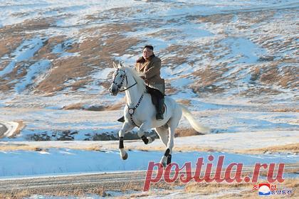 Тренер по верховой езде оценил умение Ким Чен Ына держаться на лошади. Лидер Корейской Народно-Демократической Республики (КНДР) Ким Чен Ын хороший наездник, рассказал «Ленте.ру» мастер спорта, заслуженный тренер России Николай Сафронов, оценив навыки политика в верховой езде. Ранее в Северной Корее выпустили документальный фильм, в котором Ким Чен Ын предстает верхом на лошади.