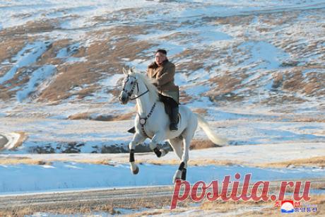 Тренер по верховой езде оценил умение Ким Чен Ына держаться на лошади. Лидер Корейской Народно-Демократической Республики (КНДР) Ким Чен Ын хороший наездник, рассказал «Ленте.ру» мастер спорта, заслуженный тренер России Николай Сафронов, оценив навыки политика в верховой езде. Ранее в Северной Корее выпустили документальный фильм, в котором Ким Чен Ын предстает верхом на лошади.
