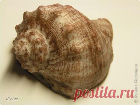 Как сделать форму для мыла. МК..