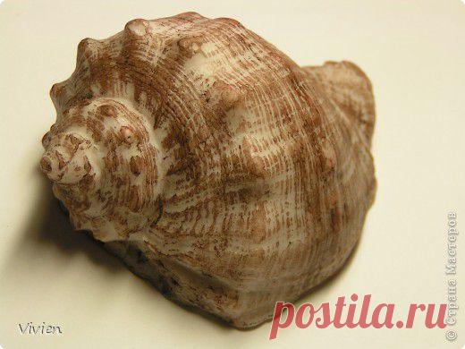 Как сделать форму для мыла. МК..