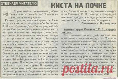 лопух против кисты почки