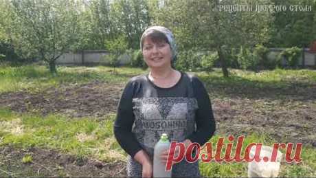 Быстрый способ посадки моркови без прореживания