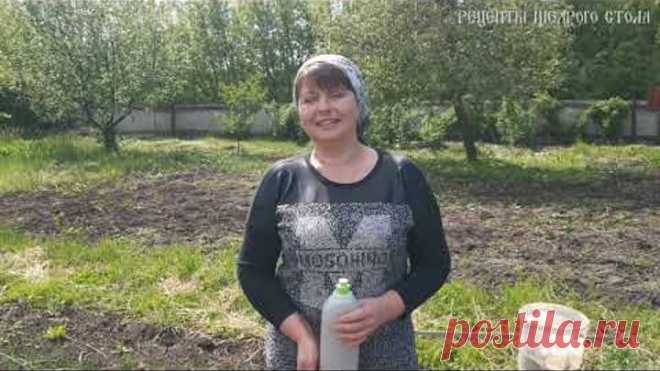 Быстрый способ посадки моркови без прореживания