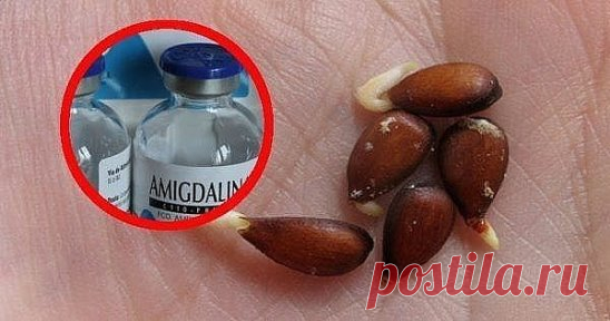 Семечки яблок и рак: десятки лет это держалось в секрете!
Любая отрасль медицинской индустрии построена на больших деньгах. Ежегодно проводятся конференции и симпозиумы, которые собирают ученых мужей со всего мира. Государства выделяют многомиллионные дотации на развитие медицины. Существуют десятки и сотни благотворительных организаций, которые проводят арт-мероприятия и аукционы для сбора средств.
Новые медицинские препараты появляются каждый месяц, перед этим пройдя несколько уровней провер