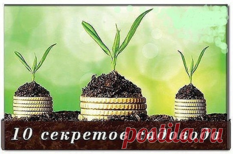 10 САДОВО-ОГОРОДНЫХ СЕКРЕТОВ
Cохраните, чтобы не потерять!
1. «Солим» лук
Перед посадкой лука его рекомендуется замочить на 3-4 ч. в соленой воде –
 100 г соли на 5 л воды.
2. Огурцы с молоком и медом
Если семена огурца предварительно (до высаживания в грунт) замочить в 
молоке, то плоды будут вкуснее и нежнее, а если в медовой воде – слаще.
3. Срезаем листья
За 2-3 дня до высадки в грунт томатов у рассады срезают 2-3 нижних 
листочка.
4. Не поливаем
Первые 12-14 дней после высадки растения