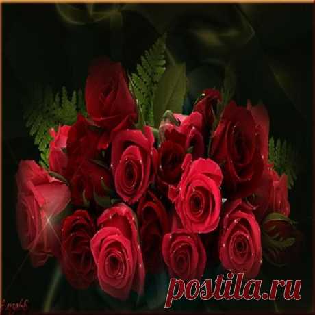 ЭТИ РОЗЫ ДЛЯ ТЕБЯ !