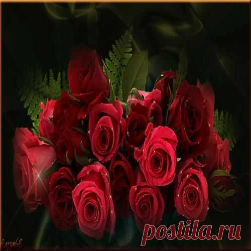 ЭТИ РОЗЫ ДЛЯ ТЕБЯ !