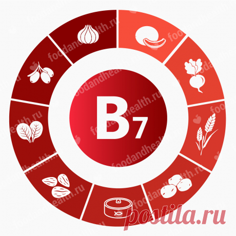 Витамин Н/В7 в таблетках и ампулах: состав препаратов. В каких продуктах содержится и инструкция по применению биотина для волос. Использование витамина для кошек и лошадей.