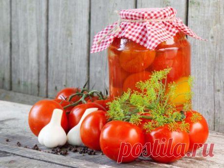 Консервированные помидоры: News-Decent