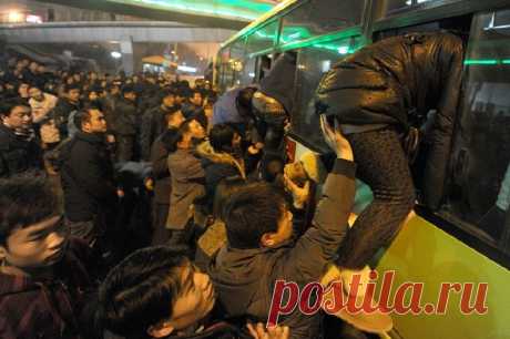 В тесноте, да не в обиде: полиция КНР остановила автобус, перевозивший людей в биотуалете | Общество
