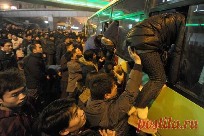 В тесноте, да не в обиде: полиция КНР остановила автобус, перевозивший людей в биотуалете | Общество