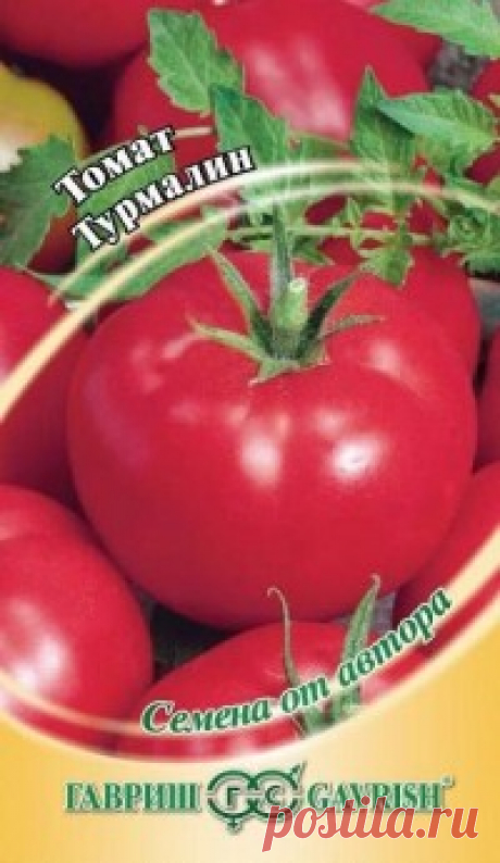 Семена. Томат "Турмалин" (вес: 0,1 г) Всхожесть: 86%.
Среднеранний (117-122 дня от всходов до плодоношения) Растение детерминантное, высотой до 70 см. Рекомендуется для выращивания в открытом грунте и в пленочных теплицах. Посев на рассаду начало апреля. Пикировка рассады в фазе первого настоящего листа. Срок выращивания...