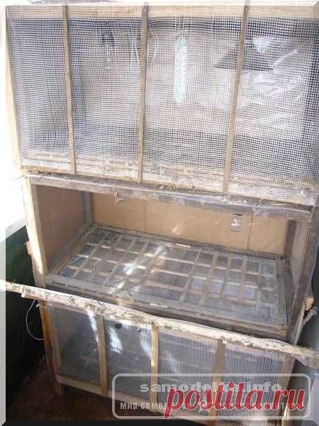 Брудер для цыплят (перепелов) своими руками