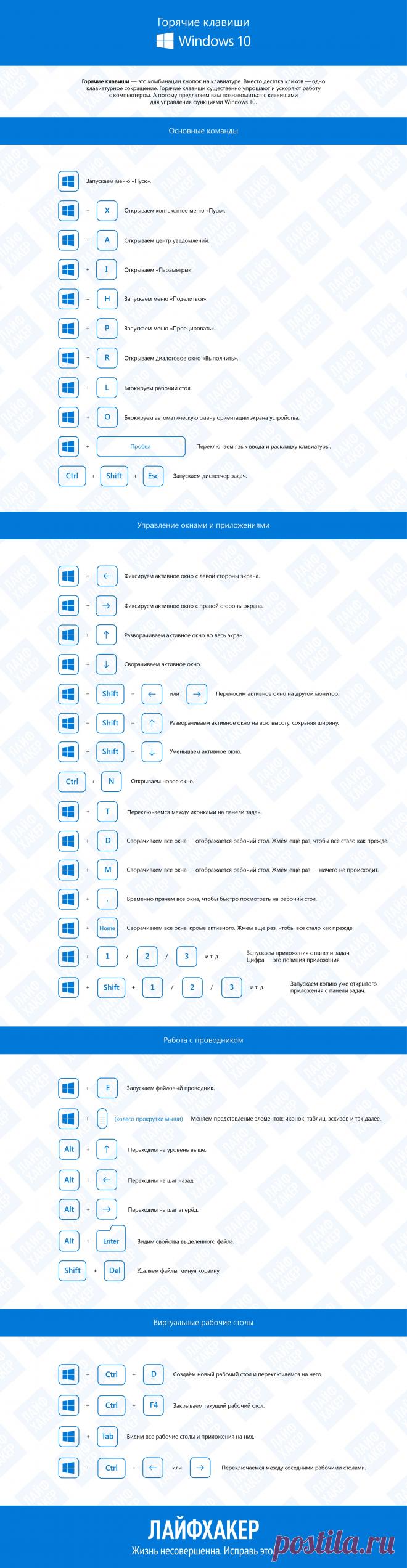 Горячие клавиши Windows 10: инфографика