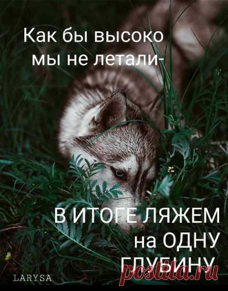 (1641) Pinterest