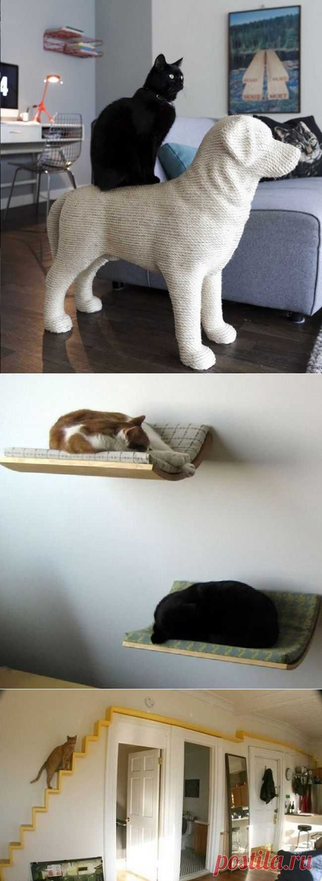 Дизайн для котов