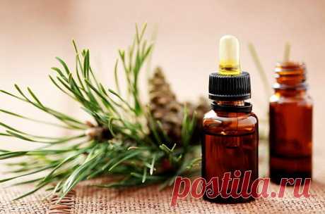 Пихтовое масло и мёд спасли от операции. 

У моего племянника обнаружили межпозвонковую грыжу. Операцию по ряду причин врачи опасались делать, а потому посоветовали следующий рецепт. Область больных позвонков растирать пихтовым маслом. Затем на это место нанести мед с разведенным в нем мумиё: на 100 г меда - 1 г мумиё (его следует предварительно растворить в 1 ч. ложке теплой кипяченой воды). Делать похлопывающими движениями ладони массаж, кожа при этом должна как бы прили...