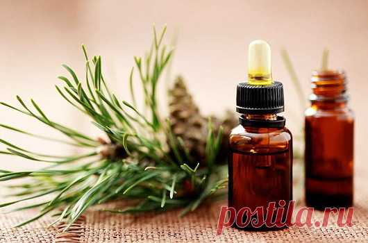 Пихтовое масло и мёд спасли от операции. 

У моего племянника обнаружили межпозвонковую грыжу. Операцию по ряду причин врачи опасались делать, а потому посоветовали следующий рецепт. Область больных позвонков растирать пихтовым маслом. Затем на это место нанести мед с разведенным в нем мумиё: на 100 г меда - 1 г мумиё (его следует предварительно растворить в 1 ч. ложке теплой кипяченой воды). Делать похлопывающими движениями ладони массаж, кожа при этом должна как бы прили...