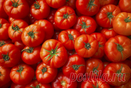 Почему помидоры с грядки вкуснее покупных - МирТесен