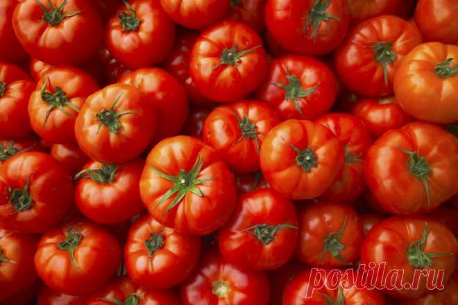 Почему помидоры с грядки вкуснее покупных - МирТесен