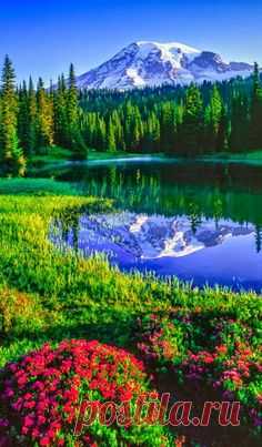 Mt Rainier