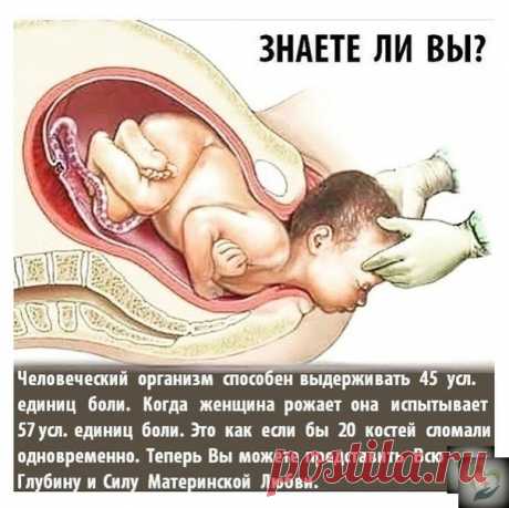 _Не 6олею_