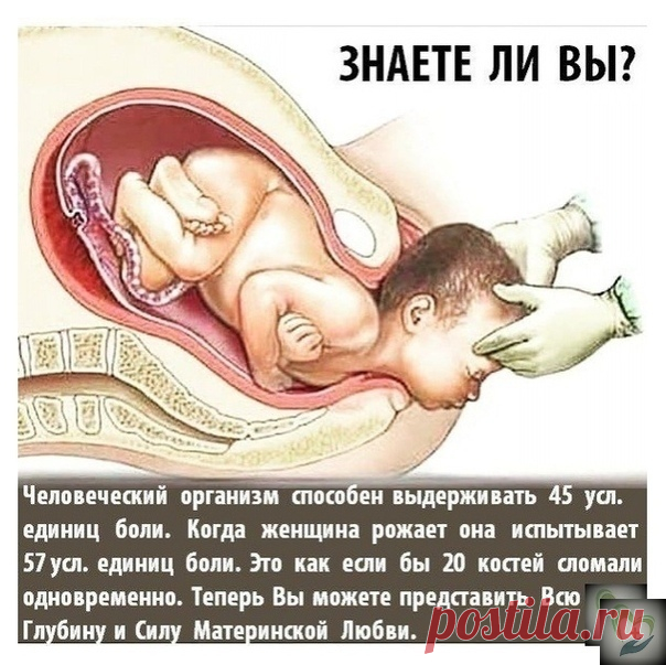 _Не 6олею_