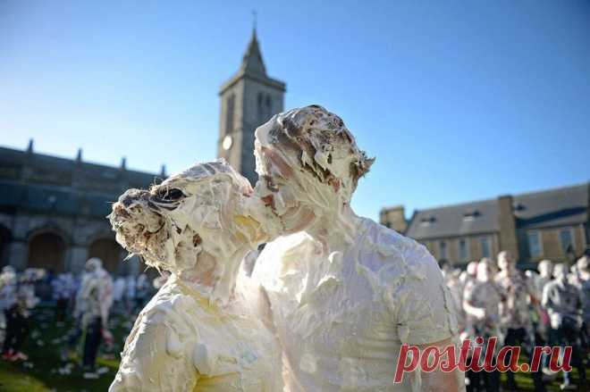 Лучшие фотографии 2013 года по версии агентства Getty Images | Webpark.ru